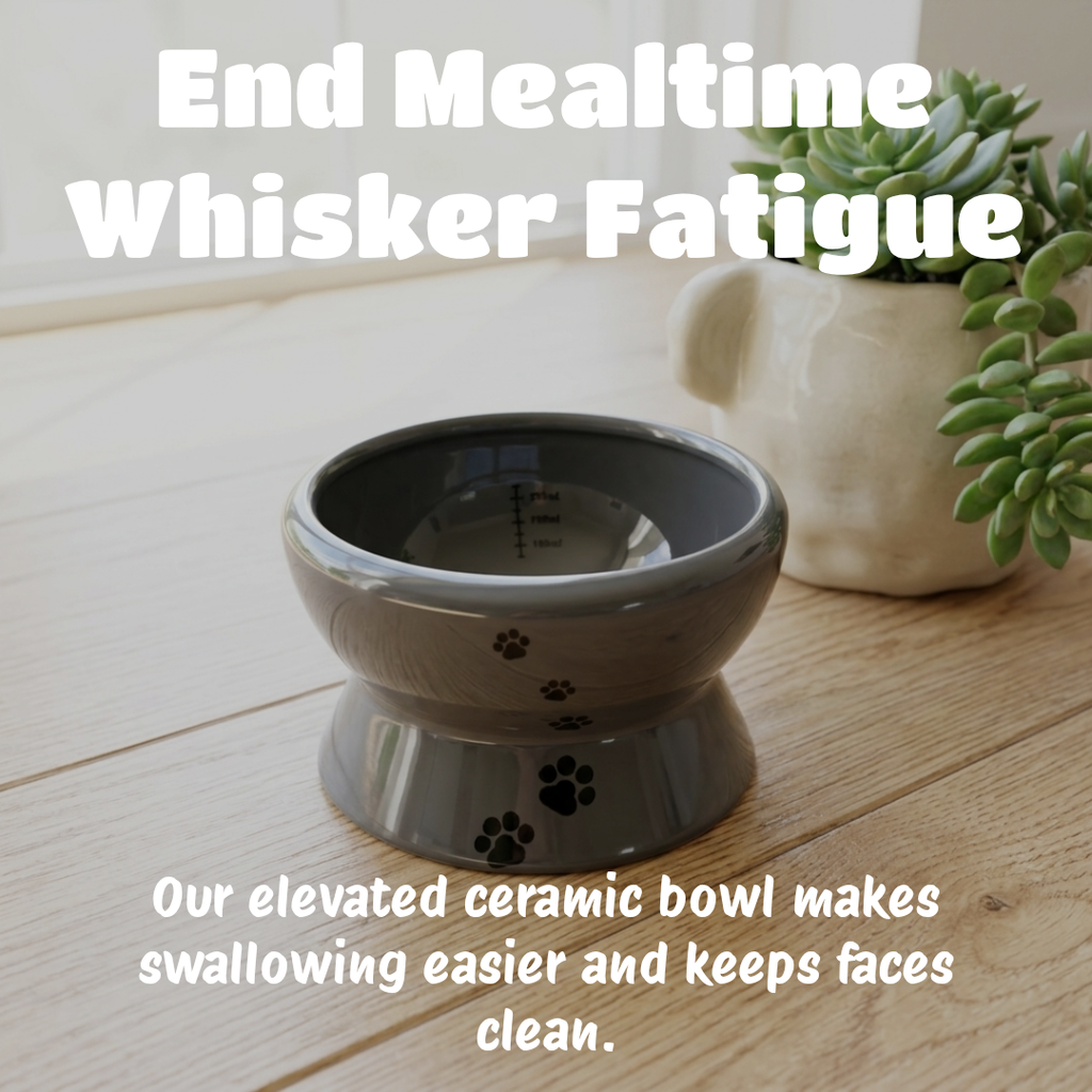 An elevated ceramic pet bowl with a dark gray exterior and light gray interior, shown on a wooden tabletop with a small potted succulent in the background. White text overlays read 'End Mealtime Whisker Fatigue' and 'Our elevated ceramic bowl makes swallowing easier and keeps faces clean.