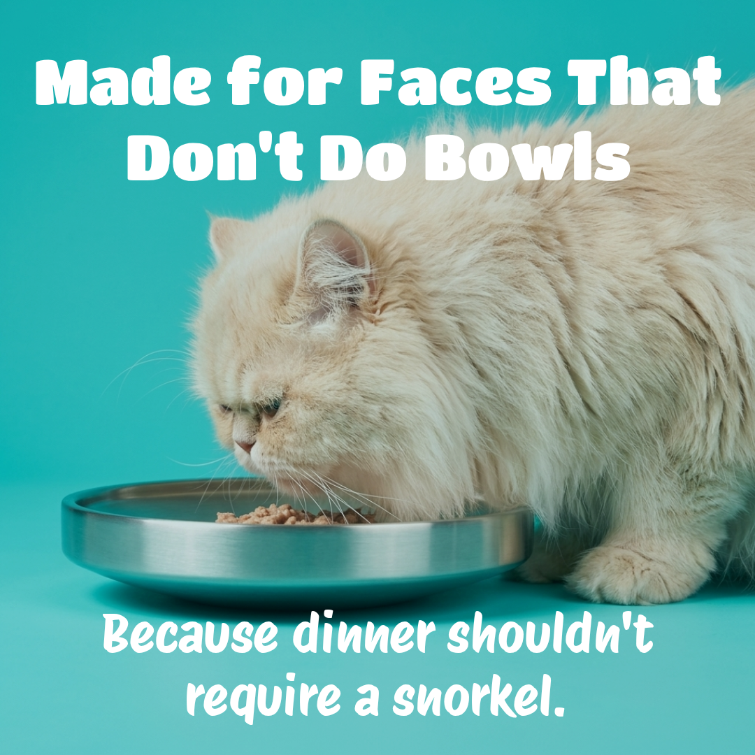 Cream color persian cat eating from steel plate with text that says made for faces that dont do bowls