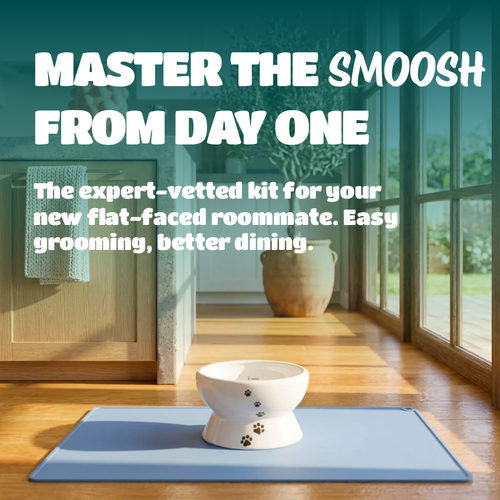 A pet grooming kit setup in a bright room, featuring a white elevated bowl on a blue mat with promotional text overlay reading 'MASTER THE SMOOSH FROM DAY ONE'.