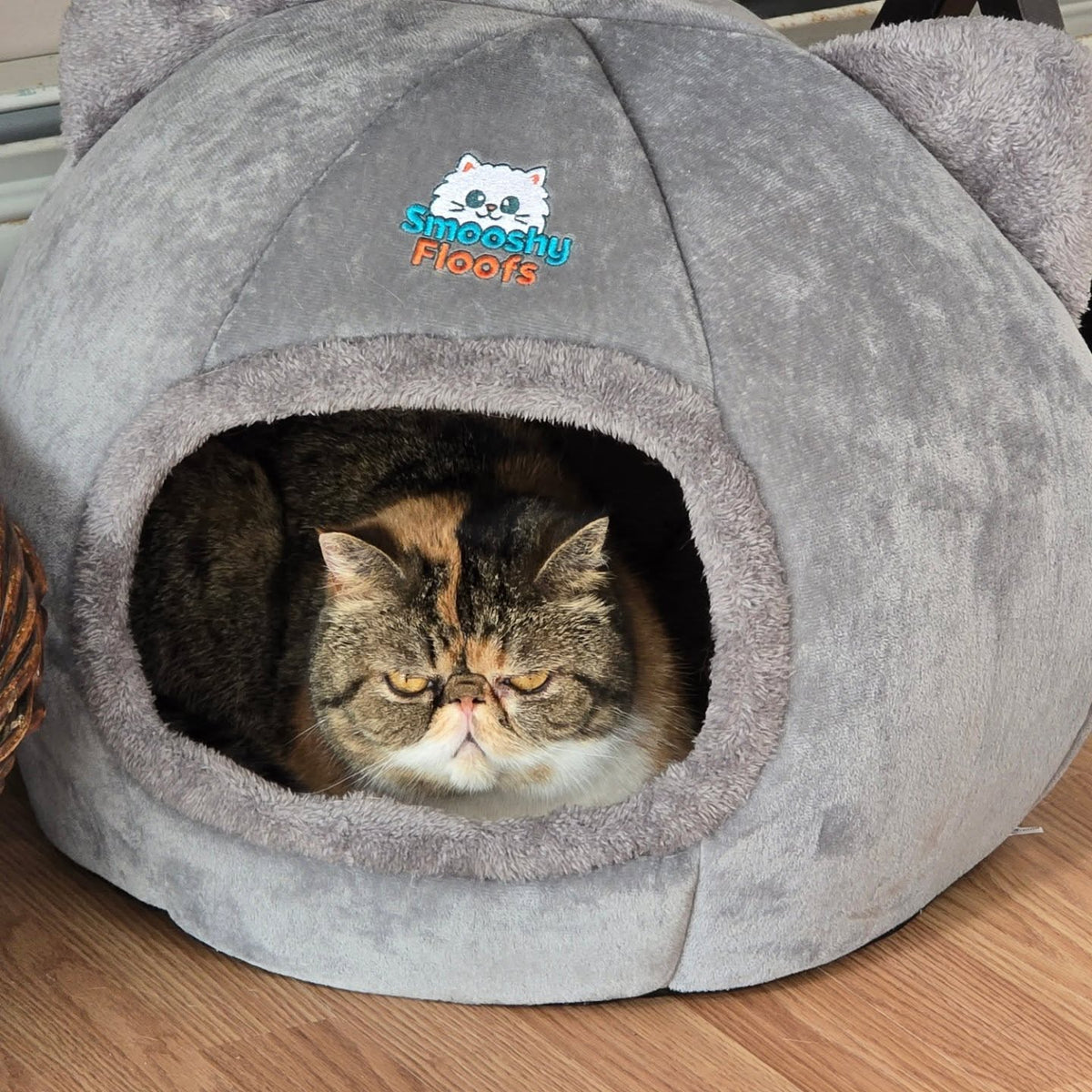 Cleo's favorite place to cat nap! Thanks so much! @smooshyfloofs